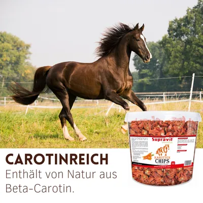 Supravit Karottenchips - Pferdeleckerlis leicht bekömmliche Möhrenchips