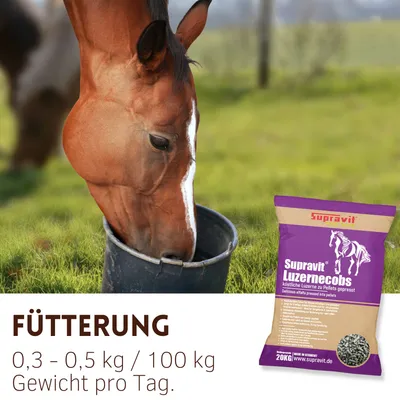 Supravit Luzernecobs für Pferde 20kg Supravit Luzernecobs für Pferde 20kg