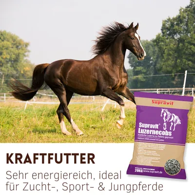 Supravit Luzernecobs für Pferde 20kg Supravit Luzernecobs für Pferde 20kg