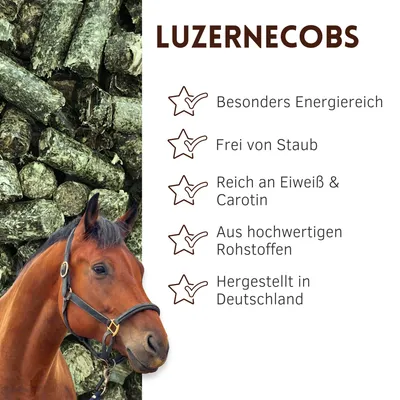 Supravit Luzernecobs für Pferde 20kg Supravit Luzernecobs für Pferde 20kg