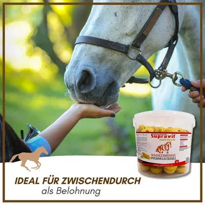 Supravit Leckerlies für Pferde & Ponys Supravit Leckerlies für Pferde & Ponys