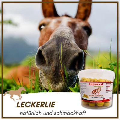 Supravit Leckerlies für Pferde & Ponys Supravit Leckerlies für Pferde & Ponys