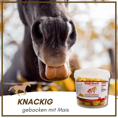 Supravit Leckerlies für Pferde & Ponys Supravit Leckerlies für Pferde & Ponys
