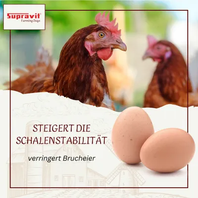 Supravit Kalkgrit für Geflügel - Futterkalk Ergänzungsfutter für Hühner