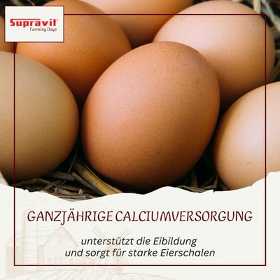 Supravit Kalkgrit für Geflügel - Futterkalk Ergänzungsfutter für Hühner