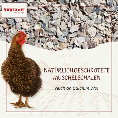 Supravit Kalkgrit für Geflügel - Futterkalk Ergänzungsfutter für Hühner Supravit Kalkgrit für Geflügel - Futterkalk Ergänzungsfutter für Hühner