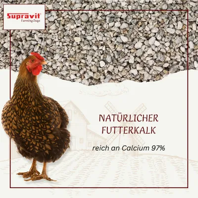 Supravit Kalkgrit für Geflügel - Futterkalk Ergänzungsfutter für Hühner Supravit Kalkgrit für Geflügel - Futterkalk Ergänzungsfutter für Hühner