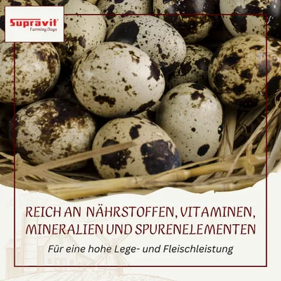 Supravit Geflügelkörnerfutter ohne Gentechnik - Körnermischung Geflügel