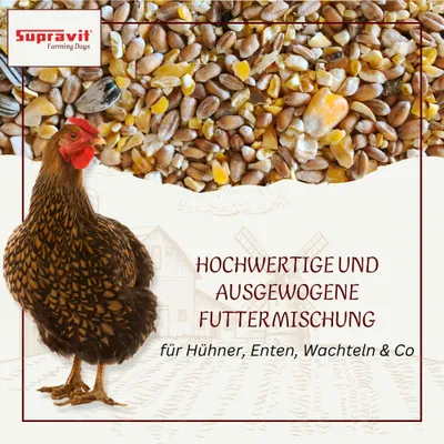 Supravit Geflügelkörnerfutter ohne Gentechnik - Körnermischung Geflügel
