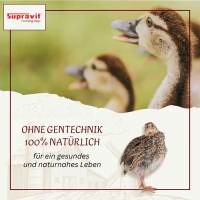 Supravit Geflügelkörnerfutter ohne Gentechnik - Körnermischung Geflügel