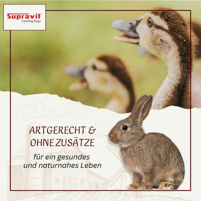 Supravit Maisbruch - Mais geschrotet trocken für Geflügel & Pferde
