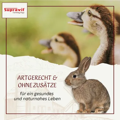 Supravit Maisbruch - Mais geschrotet trocken für Geflügel & Pferde