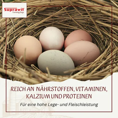 Supravit Legemehl mit Oregano für Hühner GVO - Gentechnik frei Supravit Legemehl mit Oregano für Hühner GVO - Gentechnik frei