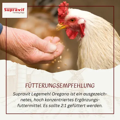 Supravit Legemehl mit Oregano für Hühner GVO - Gentechnik frei Supravit Legemehl mit Oregano für Hühner GVO - Gentechnik frei