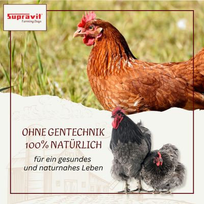 Supravit Legemehl  mit Oregano für Hühner GVO - Gentechnik frei