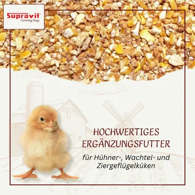 Supravit Kükengrütze