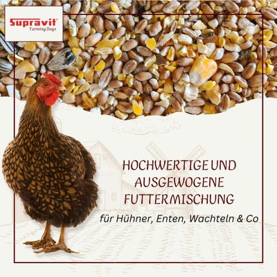 Supravit Geflügelkörnerfutter ohne Gentechnik - Körnermischung Geflügel