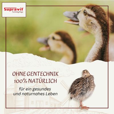 Supravit Geflügelkörnerfutter ohne Gentechnik - Körnermischung Geflügel