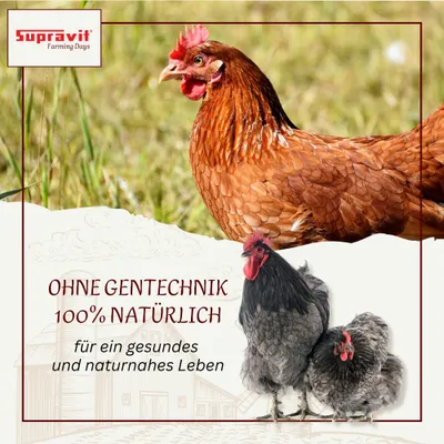 Supravit Legemehl mit Oregano für Hühner GVO - Gentechnik frei Supravit Legemehl mit Oregano für Hühner GVO - Gentechnik frei