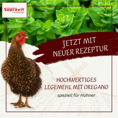 Supravit Legemehl mit Oregano für Hühner GVO - Gentechnik frei Supravit Legemehl mit Oregano für Hühner GVO - Gentechnik frei