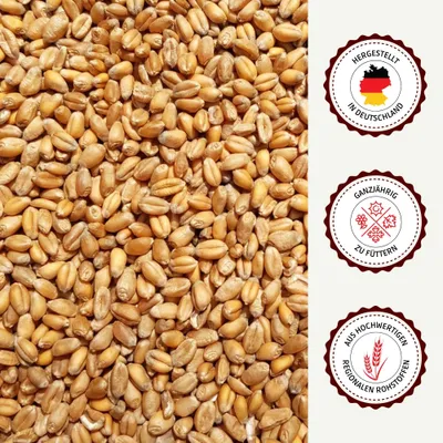 Supravit Futterweizen