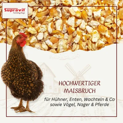 Supravit Maisbruch - Mais geschrotet trocken für Geflügel & Pferde Supravit Maisbruch - Mais geschrotet trocken für Geflügel & Pferde