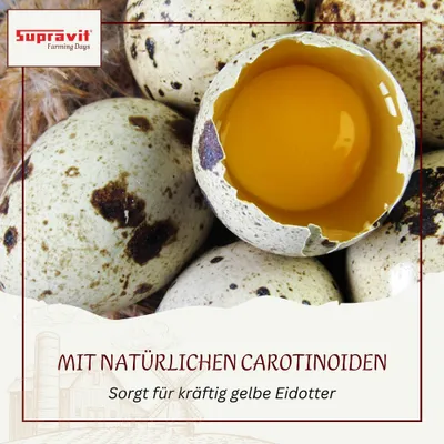 Supravit Maisbruch - Mais geschrotet trocken für Geflügel & Pferde Supravit Maisbruch - Mais geschrotet trocken für Geflügel & Pferde