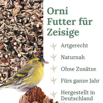 Orni amerik. u. europ. Zeisige Orni amerik. u. europ. Zeisige