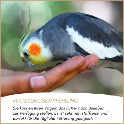 Supravit Großsittichfutter Supravit Großsittichfutter