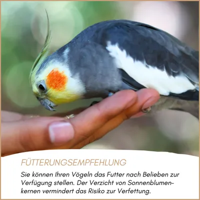 Supravit Großsittichfutter Spezial Supravit Großsittichfutter Spezial