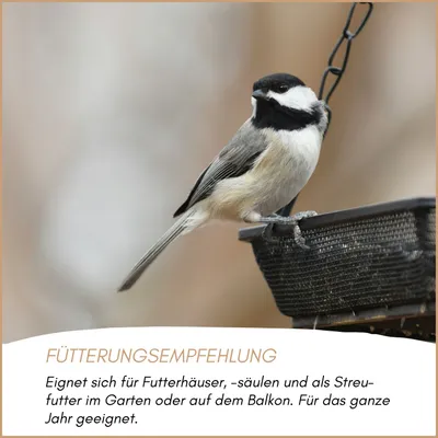 Supravit Hanfsamen Vogelfutter