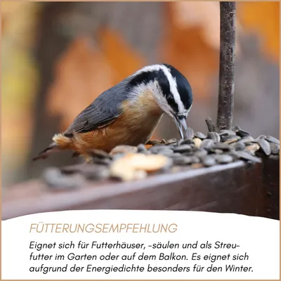 Supravit Balkonfutter für Wildvögel Supravit Balkonfutter für Wildvögel