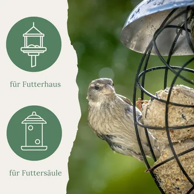 Orni Meisenknödel ohne Netz 100 Stück Orni Meisenknödel ohne Netz 100 Stück