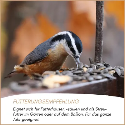 Supravit Sonnenblumenkerne gestreift Supravit Sonnenblumenkerne gestreift