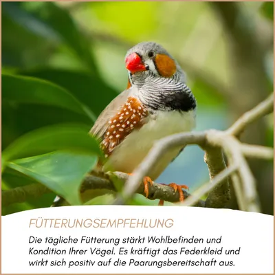Supravit Exotenfutter Supravit Exotenfutter