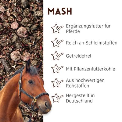 Supravit WIESENGLÜCK Mash für Pferde - melassefreies Pferdefutter