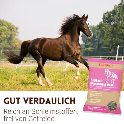 Supravit WIESENGLÜCK Mash für Pferde - melassefreies Pferdefutter