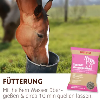 Supravit WIESENGLÜCK Mash für Pferde - melassefreies Pferdefutter