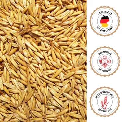 Supravit Hafer ganz - Natürlicher Futterhafer für Geflügel, Pferde & Nager Supravit Hafer ganz - Natürlicher Futterhafer für Geflügel, Pferde & Nager