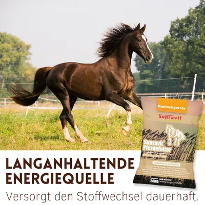 Supravit Gerste gequetscht 20kg Supravit Gerste gequetscht 20kg