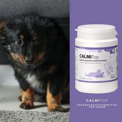 reboVet CALMITop für Hunde reboVet CALMITop für Hunde
