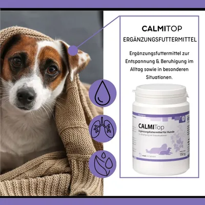 reboVet CALMITop für Hunde reboVet CALMITop für Hunde