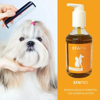 reboVet EFAPro für Hunde & Katzen reboVet EFAPro für Hunde & Katzen