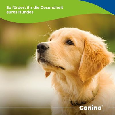 Canina Canhydrox GAG