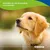Canina Canhydrox GAG Canina Canhydrox GAG