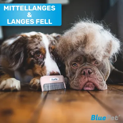 BluePet Hundekamm Katzenkamm für Langhaar Hunde & Katzen, Kamm gegen Knoten BluePet Hundekamm Katzenkamm für Langhaar Hunde & Katzen, Kamm gegen Knoten