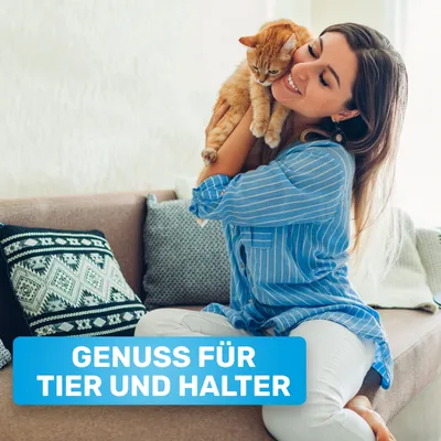 BluePet Hundekamm Katzenkamm für Langhaar Hunde & Katzen, Kamm gegen Knoten BluePet Hundekamm Katzenkamm für Langhaar Hunde & Katzen, Kamm gegen Knoten