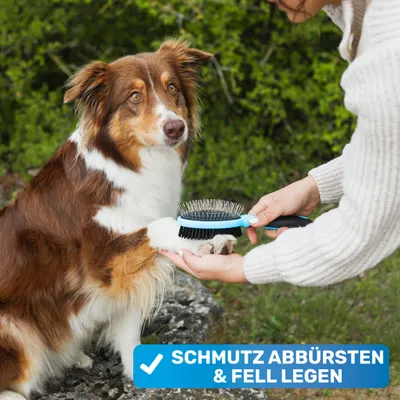 BluePet 2in1 Hundebürste und Katzenbürste für Langhaar & Kurzhaar