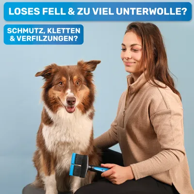 BluePet Zupfbürste Professionelle Hundebürste und Katzenbürste für Langhaar