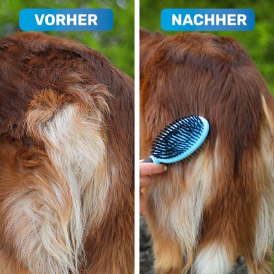BluePet 2in1 Hundebürste und Katzenbürste für Langhaar & Kurzhaar